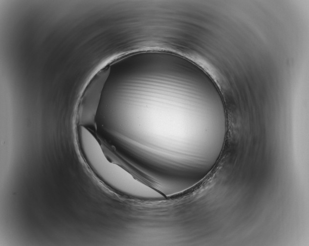 X0000095931142200801251044