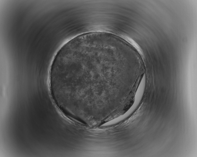 X0000095931144200801251045