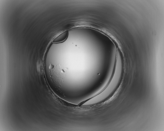 X0000095931145200801251045