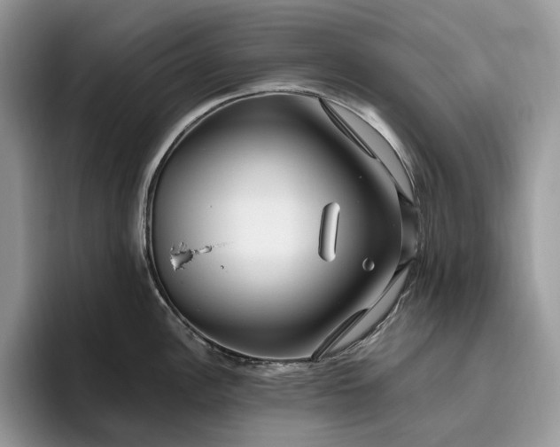 X0000095931148200801251045