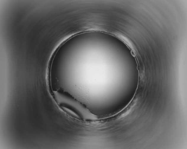 X0000095931149200801251045