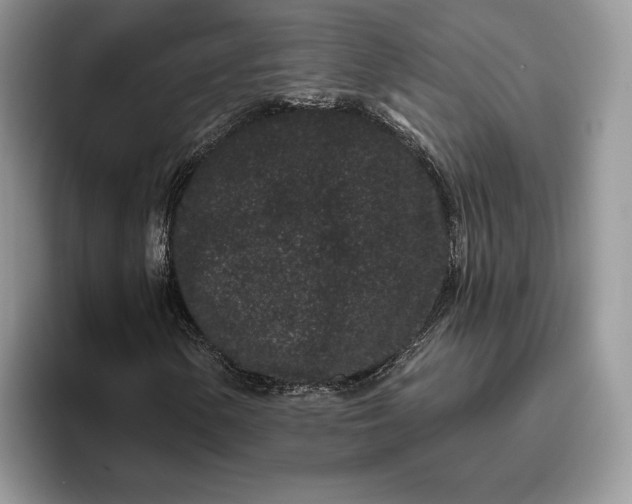 X0000095931154200801251044