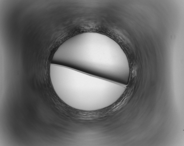 X0000095931156200801251044