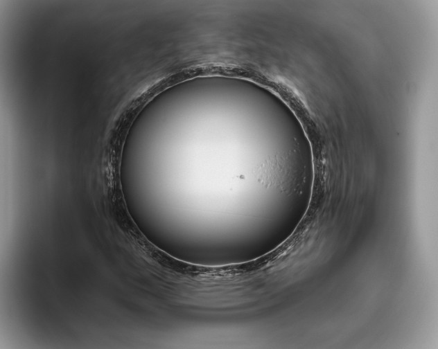 X0000095931159200801251044