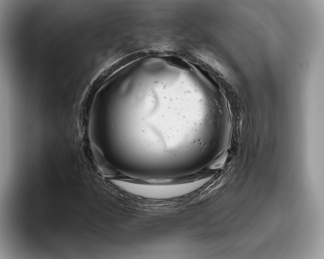 X0000095931160200801251044