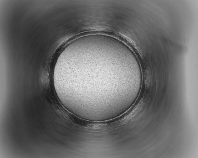 X0000095931163200801251044