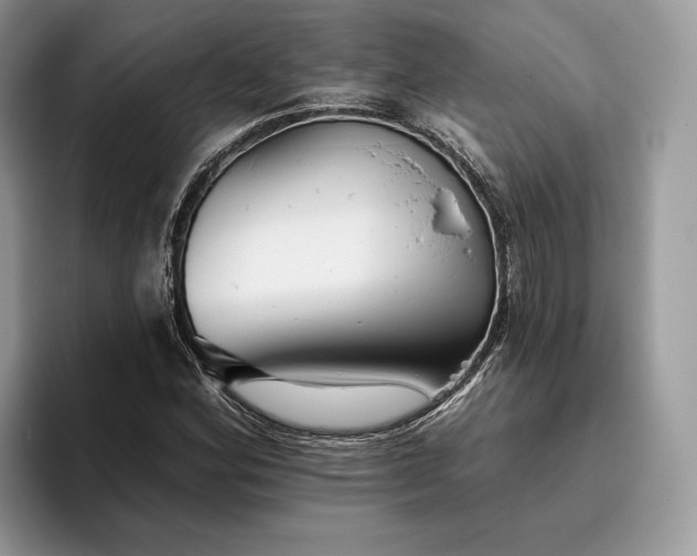 X0000095931164200801251044