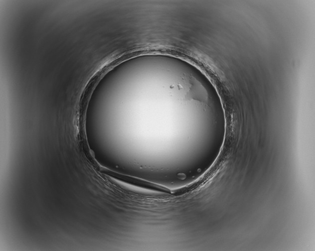 X0000095931165200801251044
