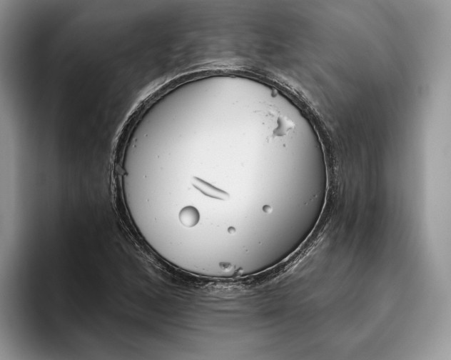 X0000095931168200801251044