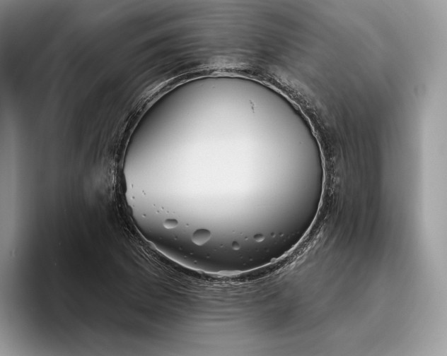 X0000095931169200801251044