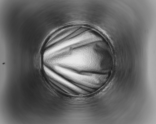 X0000095931171200801251044