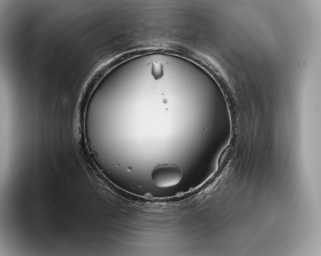 X0000095931172200801251044