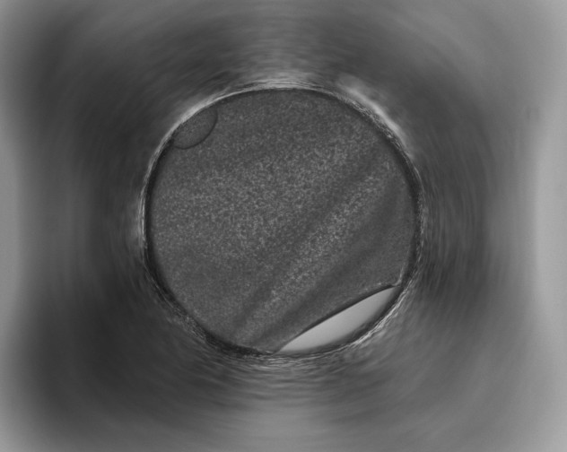 X0000095931174200801251044