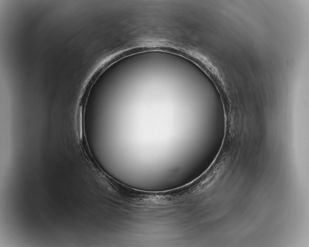 X0000095931175200801251044