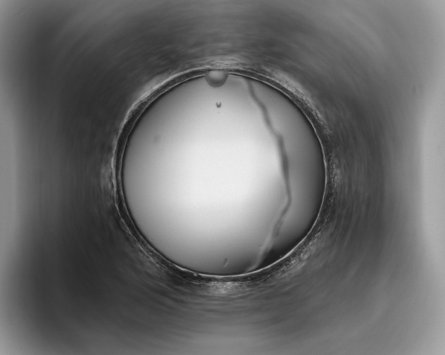 X0000095931176200801251044