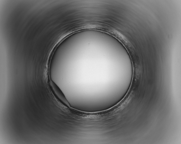 X0000095931178200801251044