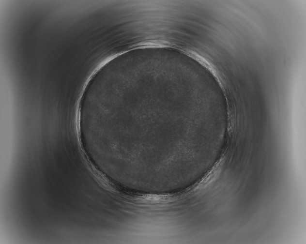 X0000095931179200801251044