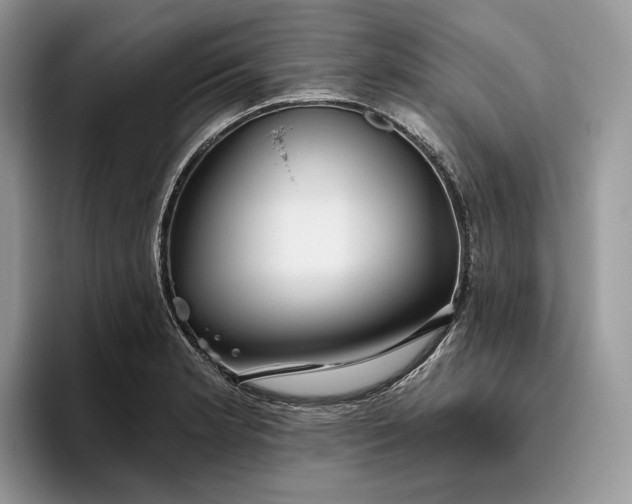 X0000095931181200801251044