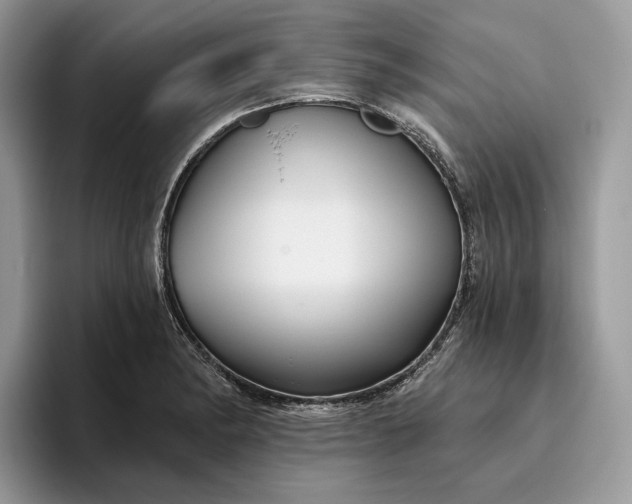 X0000095931182200801251044
