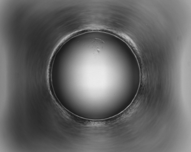 X0000095931183200801251044