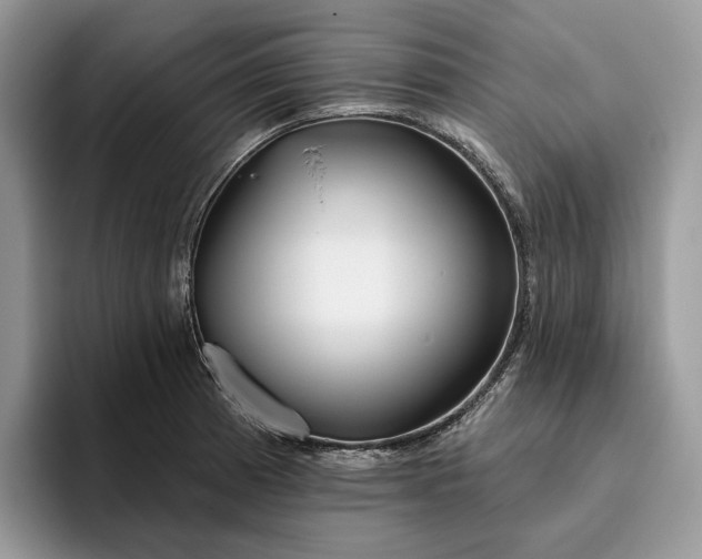 X0000095931185200801251044
