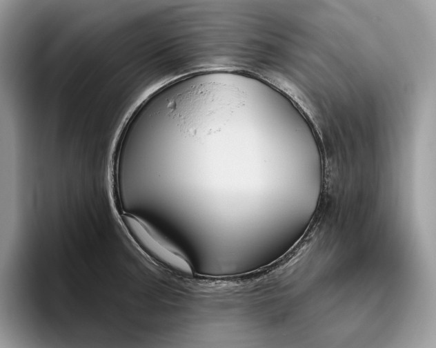 X0000095931187200801251044