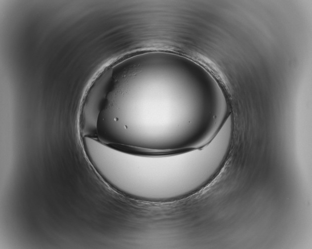 X0000095931188200801251044