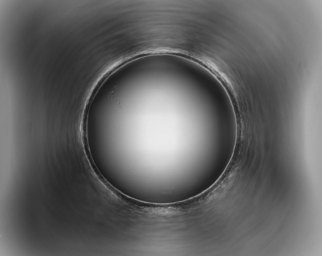 X0000095931189200801251044