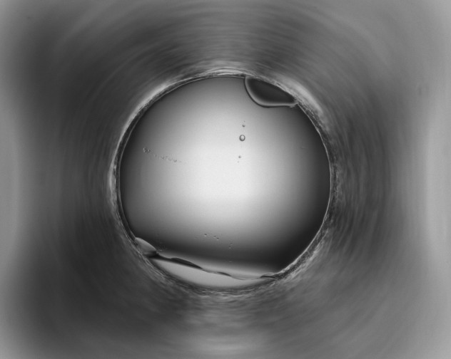 X0000095931190200801251044