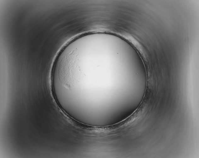 X0000095931191200801251044
