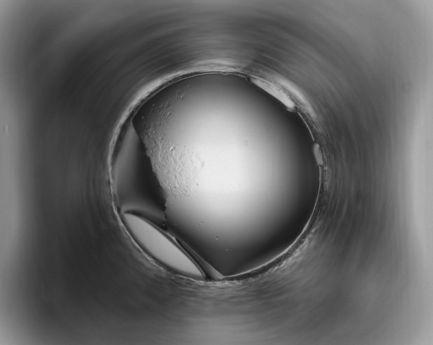 X0000095931192200801251043