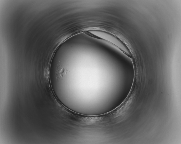 X0000095931193200801251043