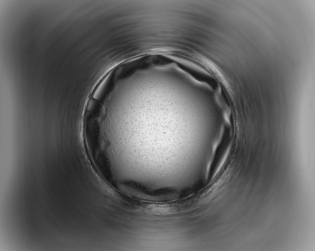 X0000095931194200801251043