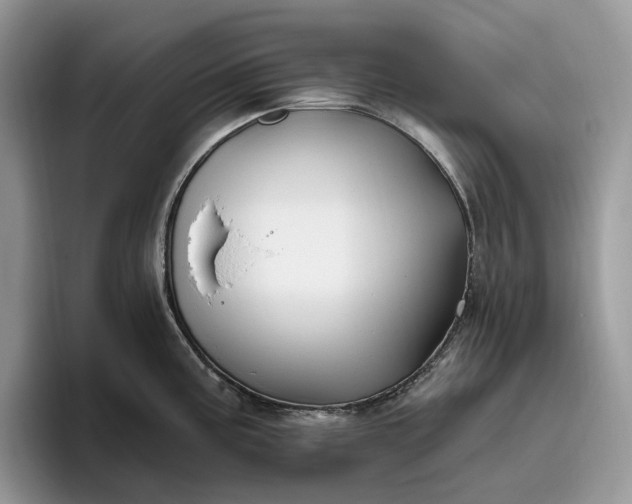 X0000095931195200801251043