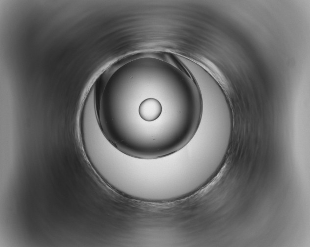 X0000095931196200801251043