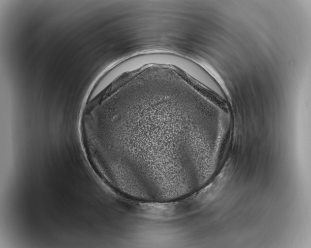 X0000095931197200801251043