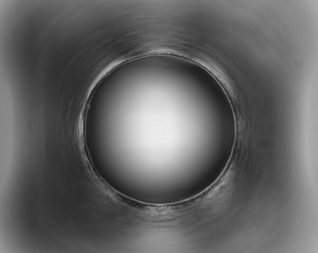 X0000095931198200801251043