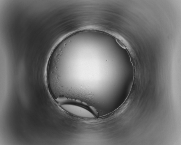 X0000095931199200801251043
