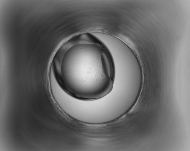 X0000095931200200801251043