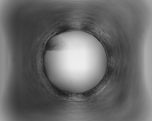 X0000095931201200801251043