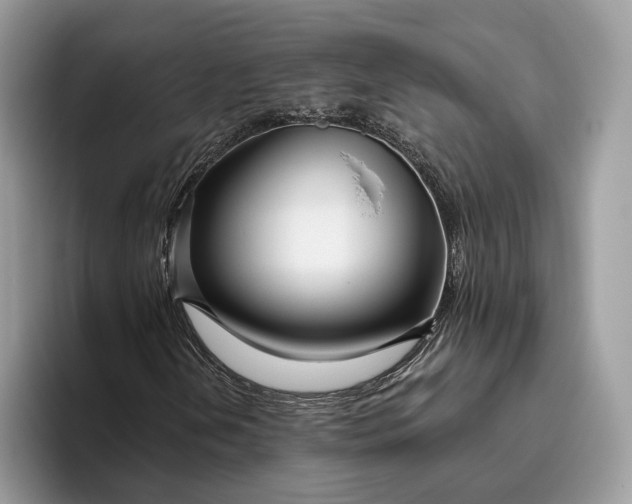 X0000095931202200801251043