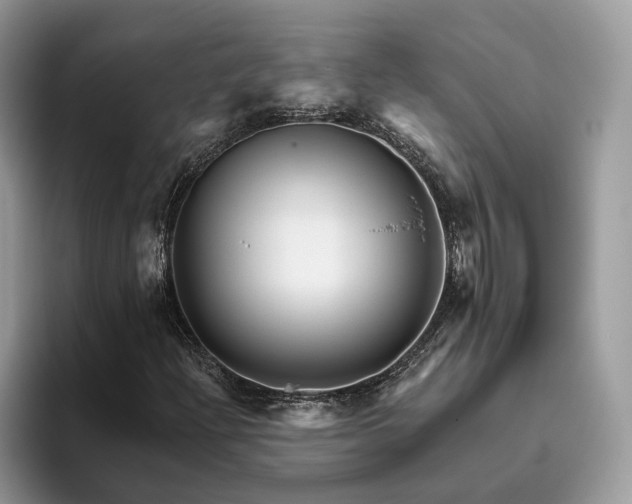 X0000095931204200801251043