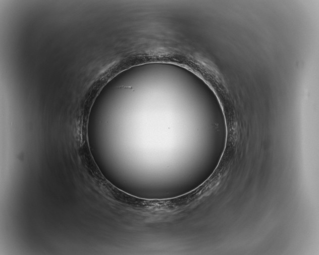 X0000095931205200801251043