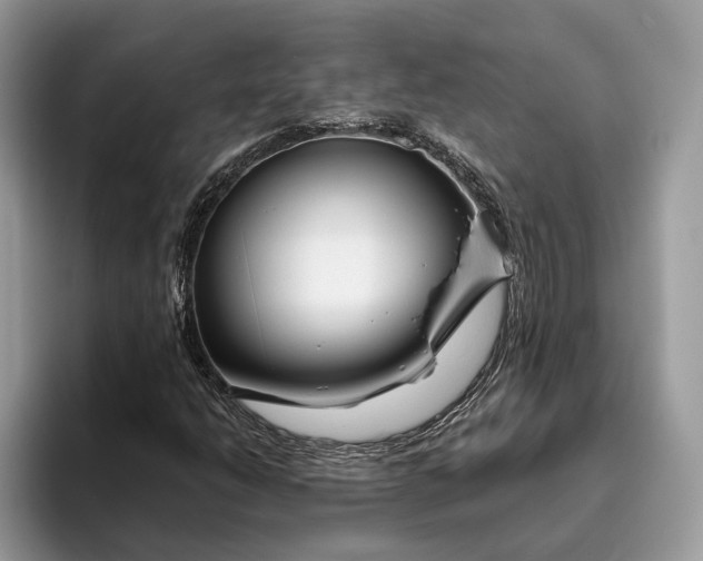 X0000095931206200801251043