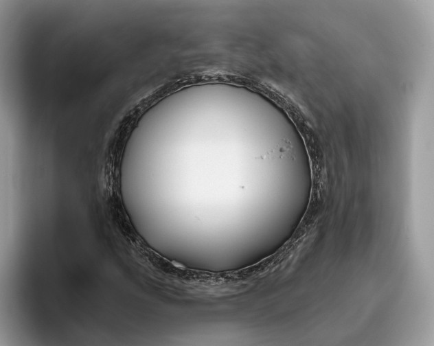 X0000095931207200801251043