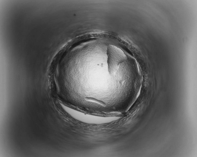 X0000095931208200801251043