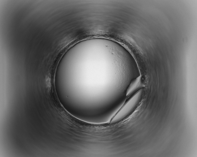 X0000095931209200801251043