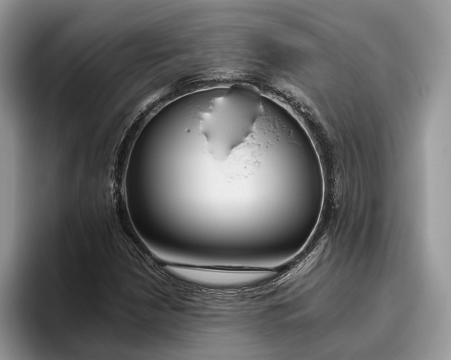 X0000095931210200801251043