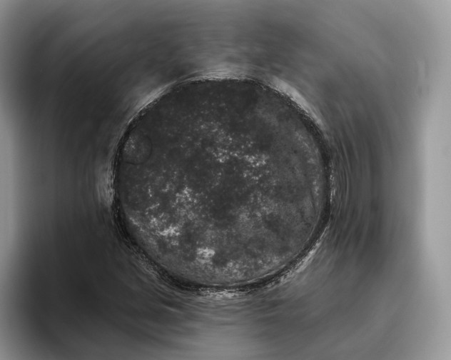 X0000095931213200801251043