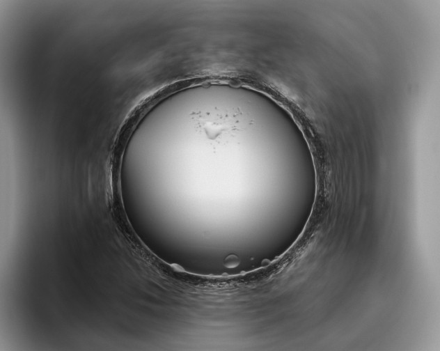 X0000095931214200801251043